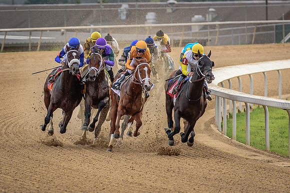 Oaklawn Stuff-10
